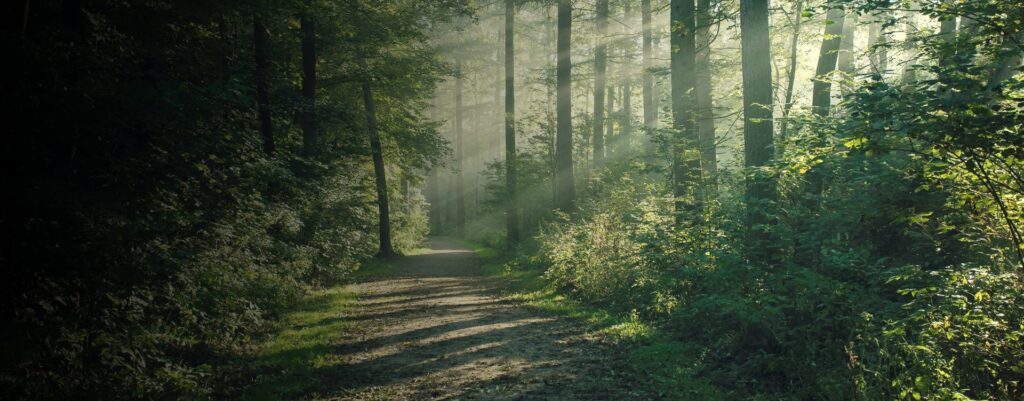 Indigenous Relations Slider